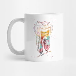 Human tooth structure Mug